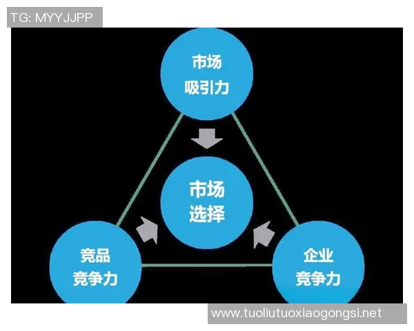 聚焦国家队发展与国际竞争力提升的战略路径与未来展望